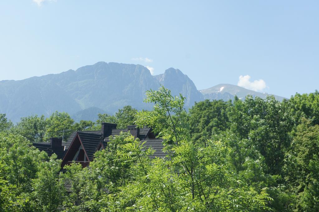 Apartamenty Stara Polana Zakopane Esterno foto